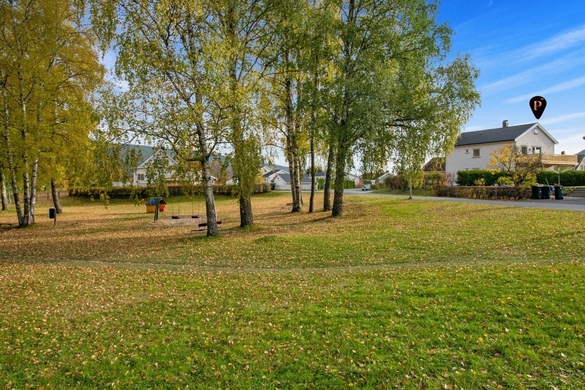 Park som nærmeste nabo. Galleribilde
