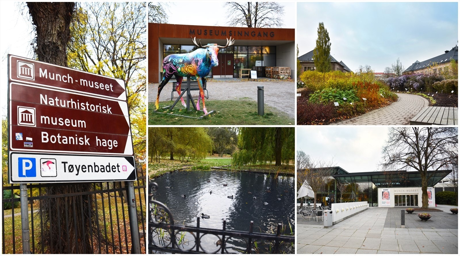 Botanisk hage og Munch museum. Galleribilde
