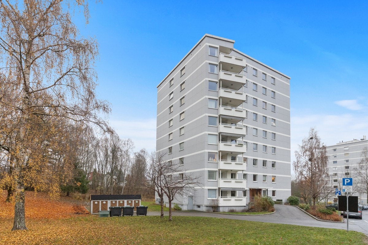 Fasade. Galleribilde