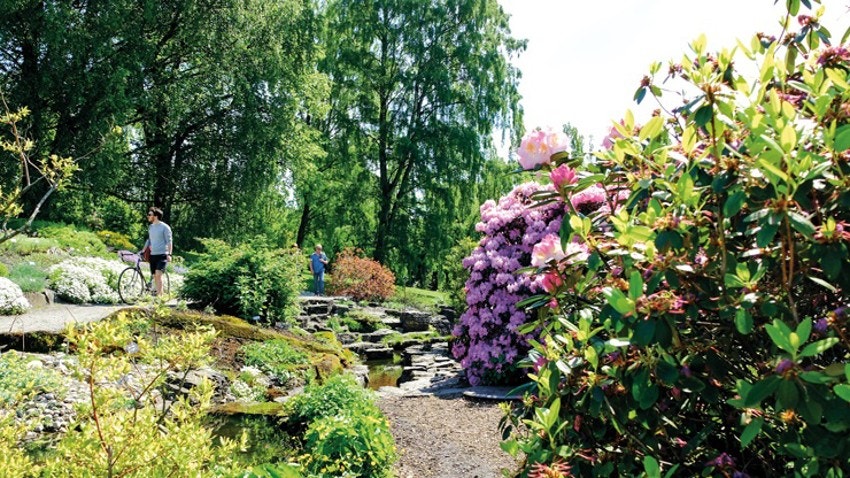Botanisk hage er kun et kvartal unna. Galleribilde