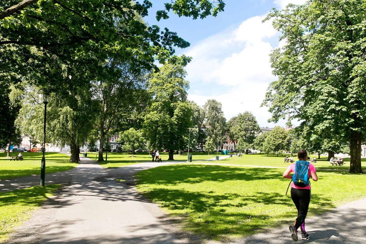Sofienbergparken er et hyggelig sted å ferdes, spesielt på sommeren. Galleribilde