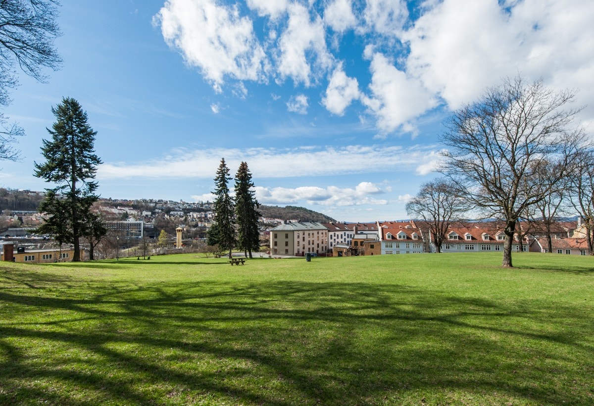Vålerengaparken. Galleribilde