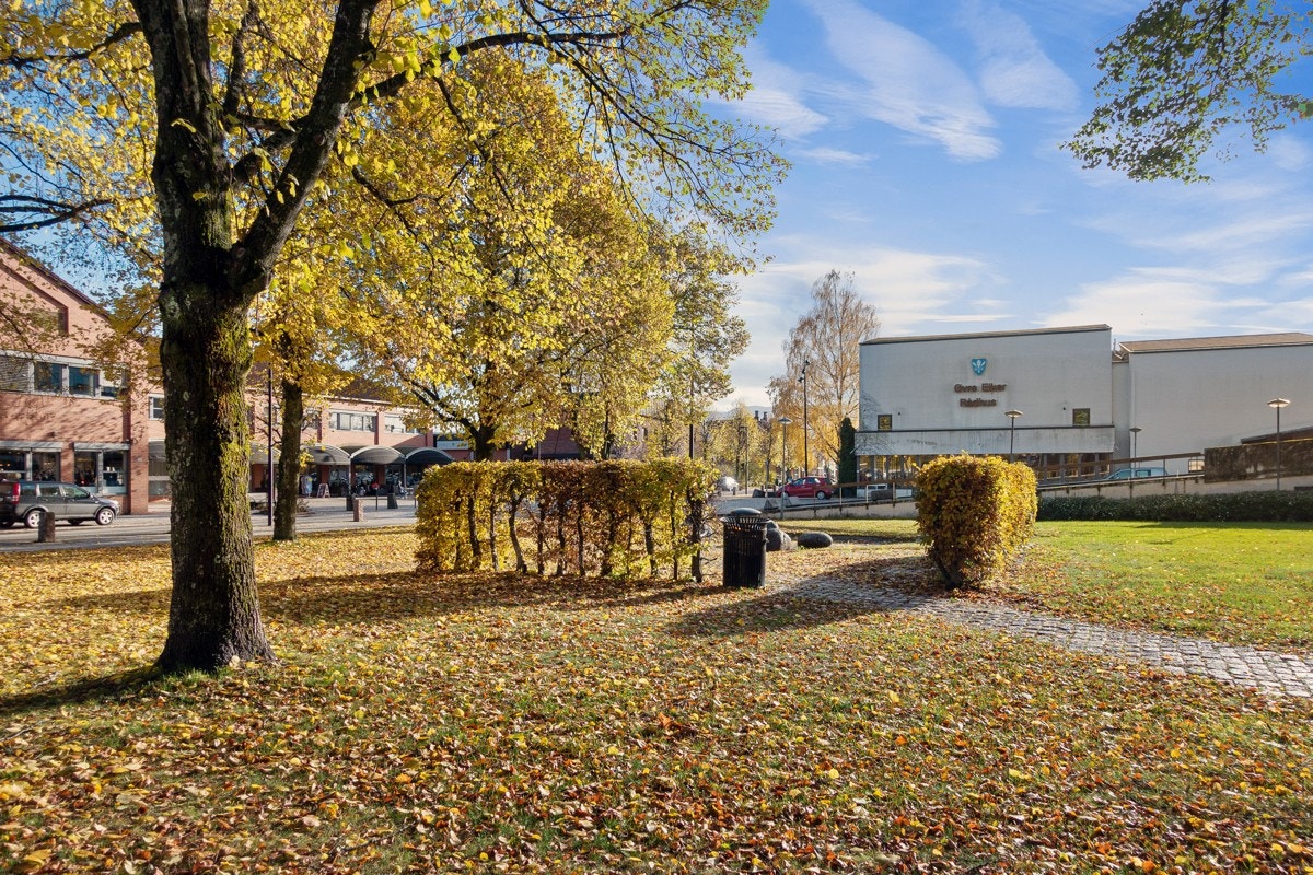 Det er flotte parkområder i nærheten. Galleribilde