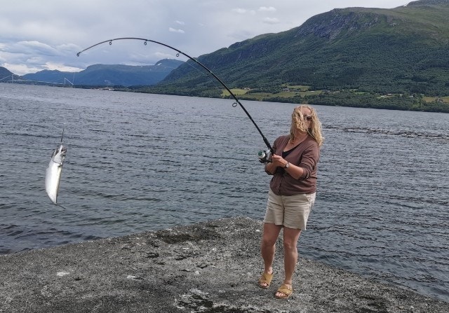 Fiske fra kaia. Galleribilde