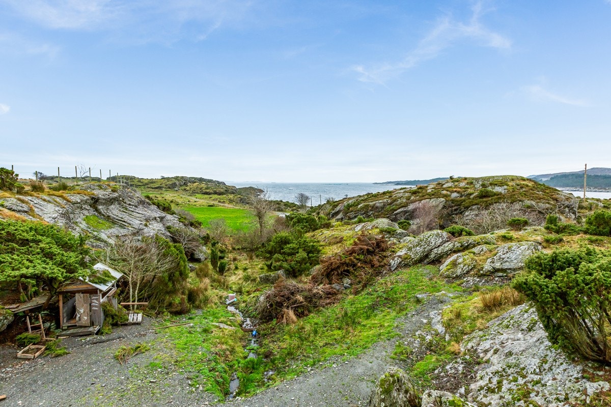 Tomt og utsikt Galleribilde