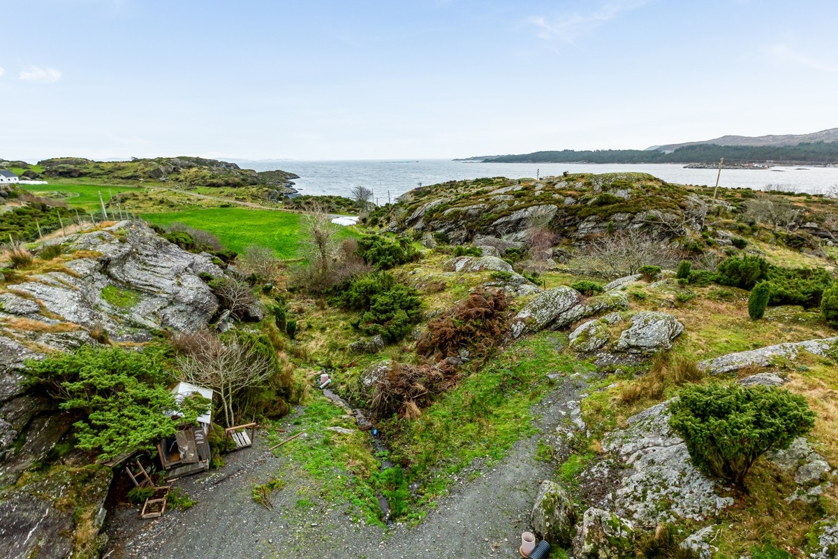 Tomt, mastefoto Galleribilde