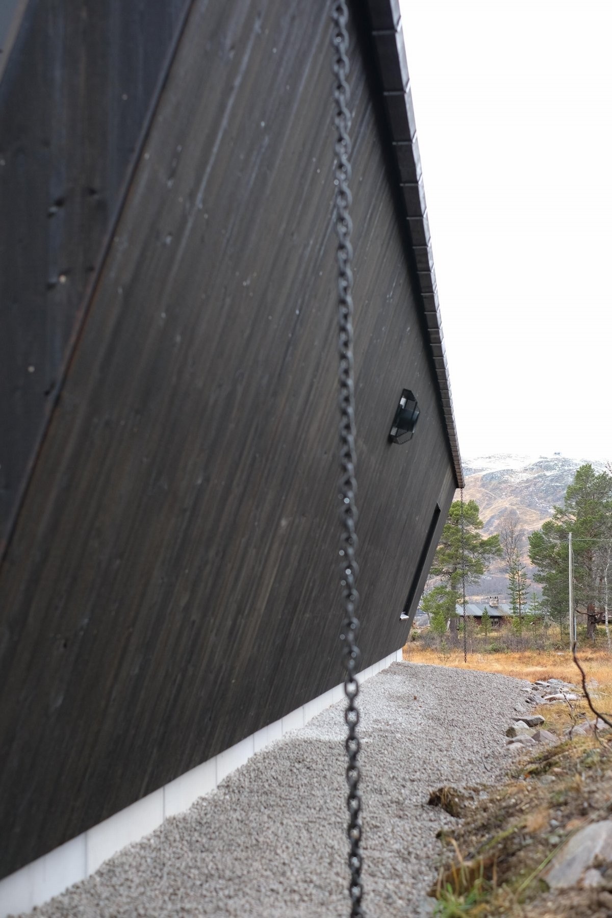 Detaljer, Nos og Hovden Alpinsenter i bakgrunnen. Galleribilde
