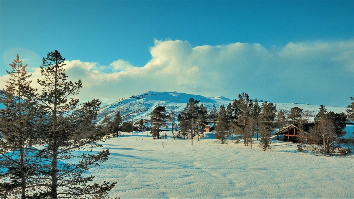 DJI_0512 Galleribilde