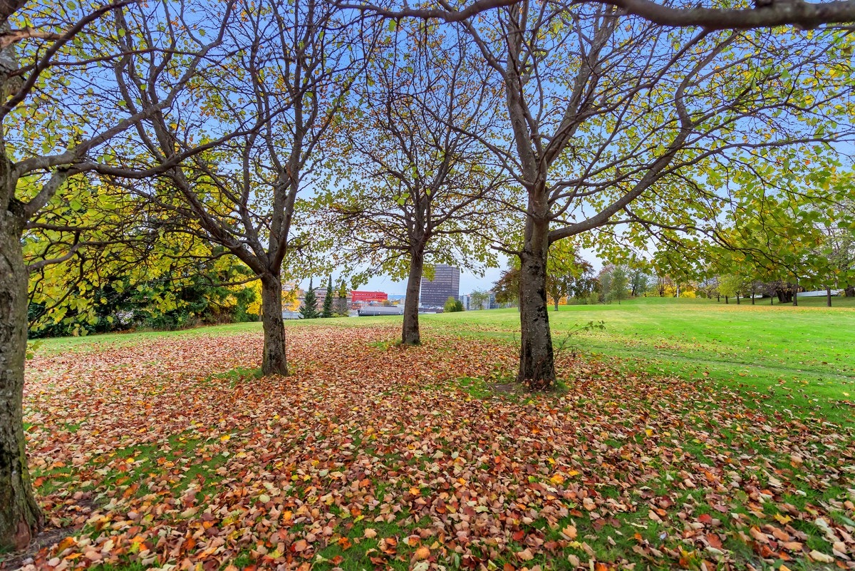 Rabbeveien på Risløkka Galleribilde