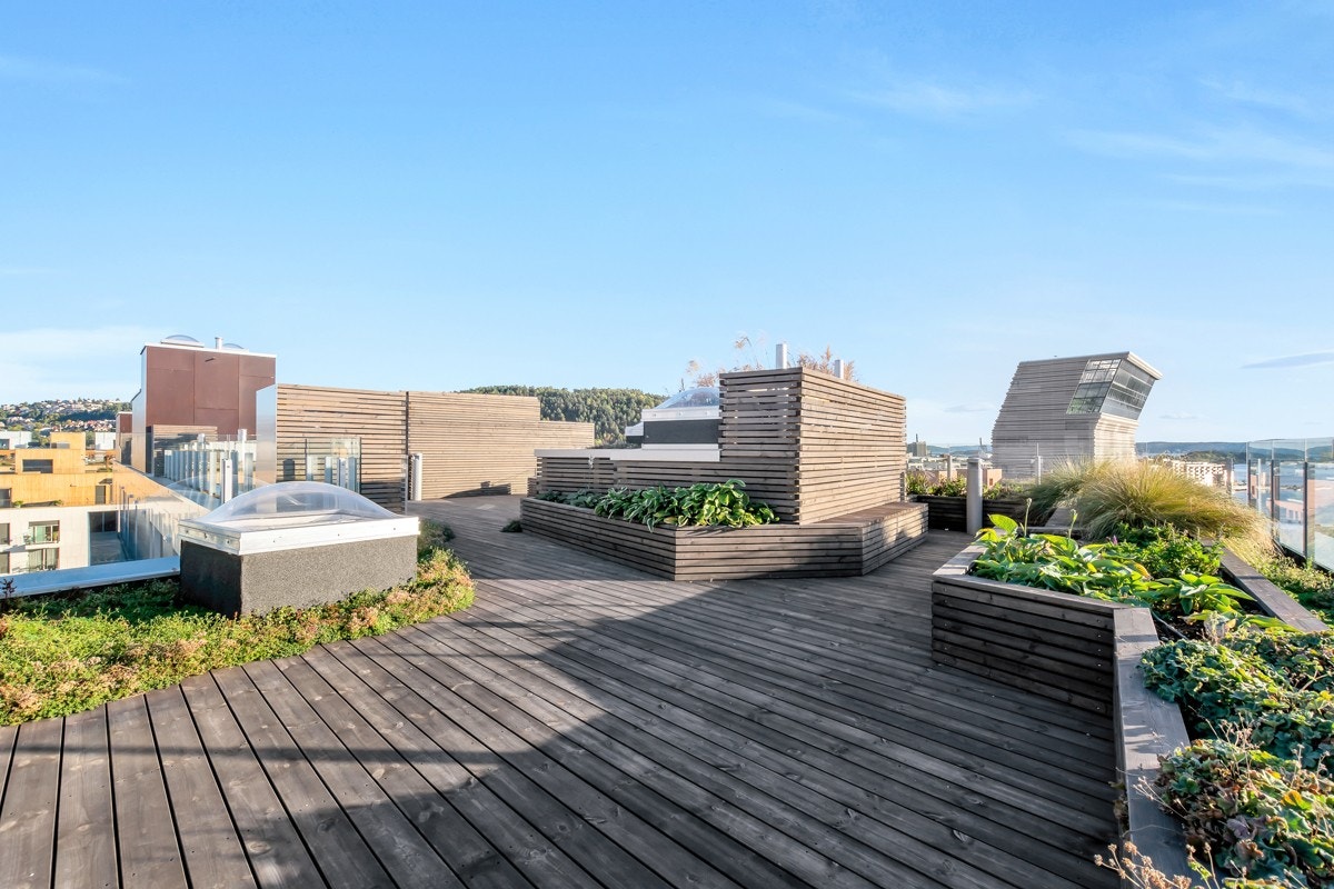 Felles takterrasse. Galleribilde