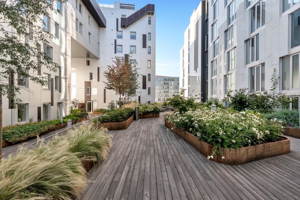 Bakhage. Galleribilde