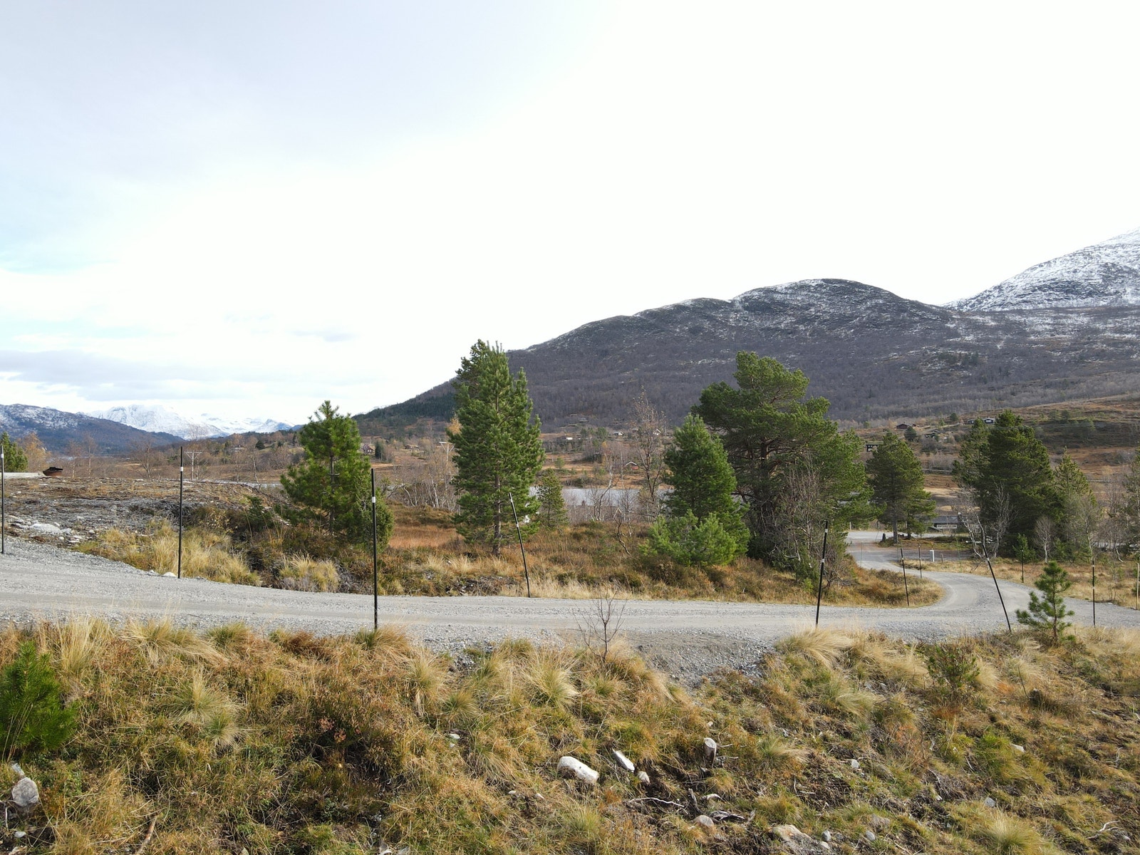 Utsikten fra bakkenivå Galleribilde