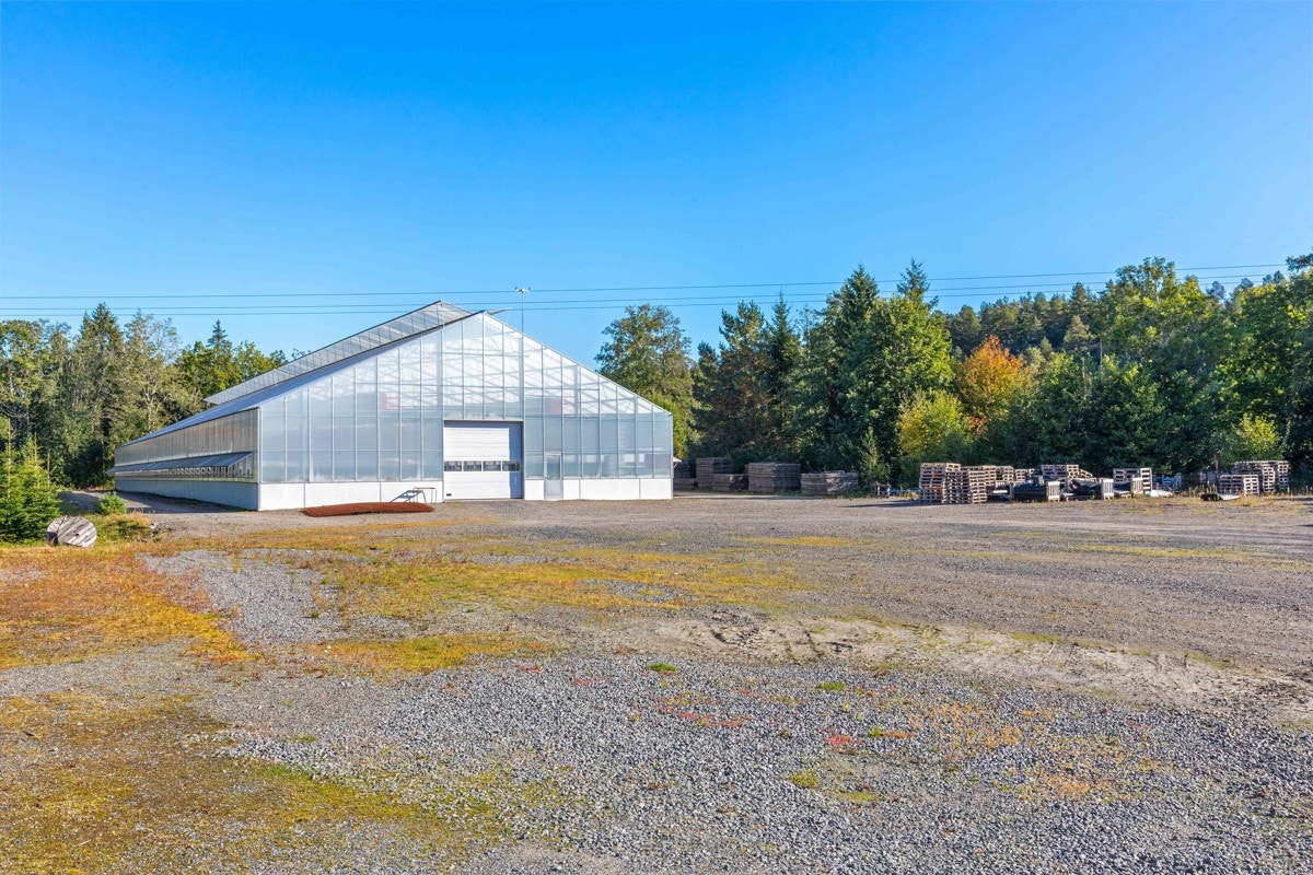 Drivhus Galleribilde