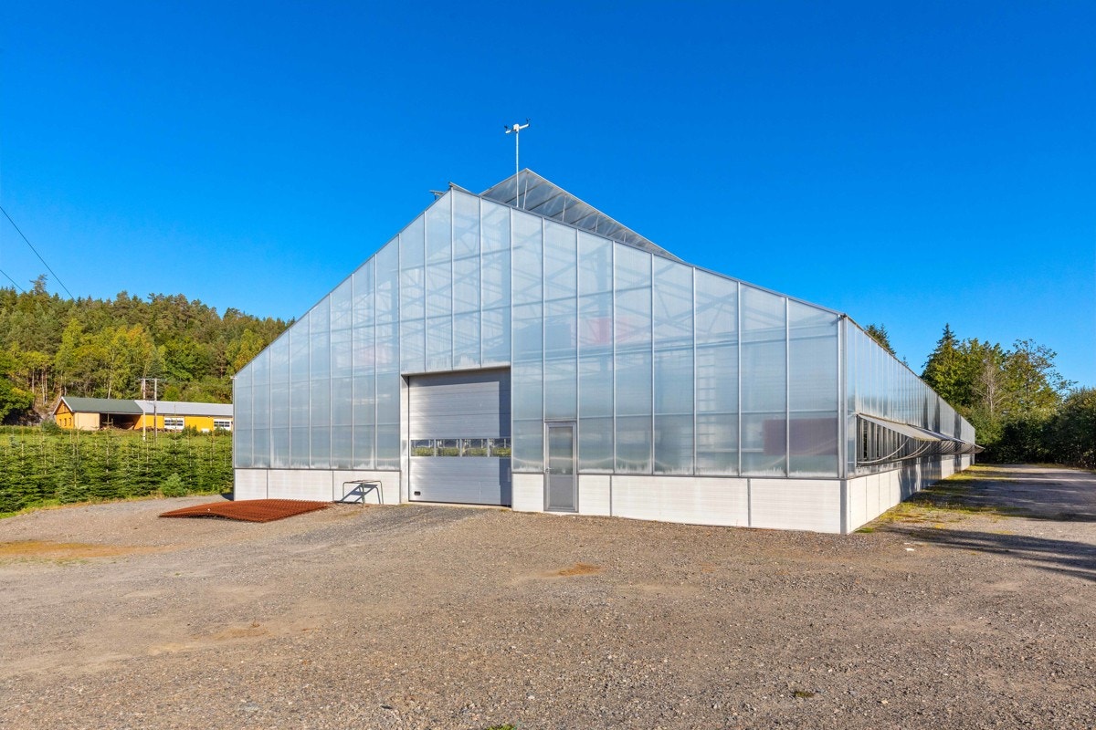 Drivhus Galleribilde