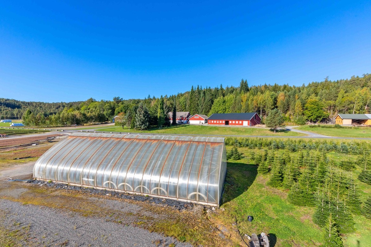 Drivhus Galleribilde