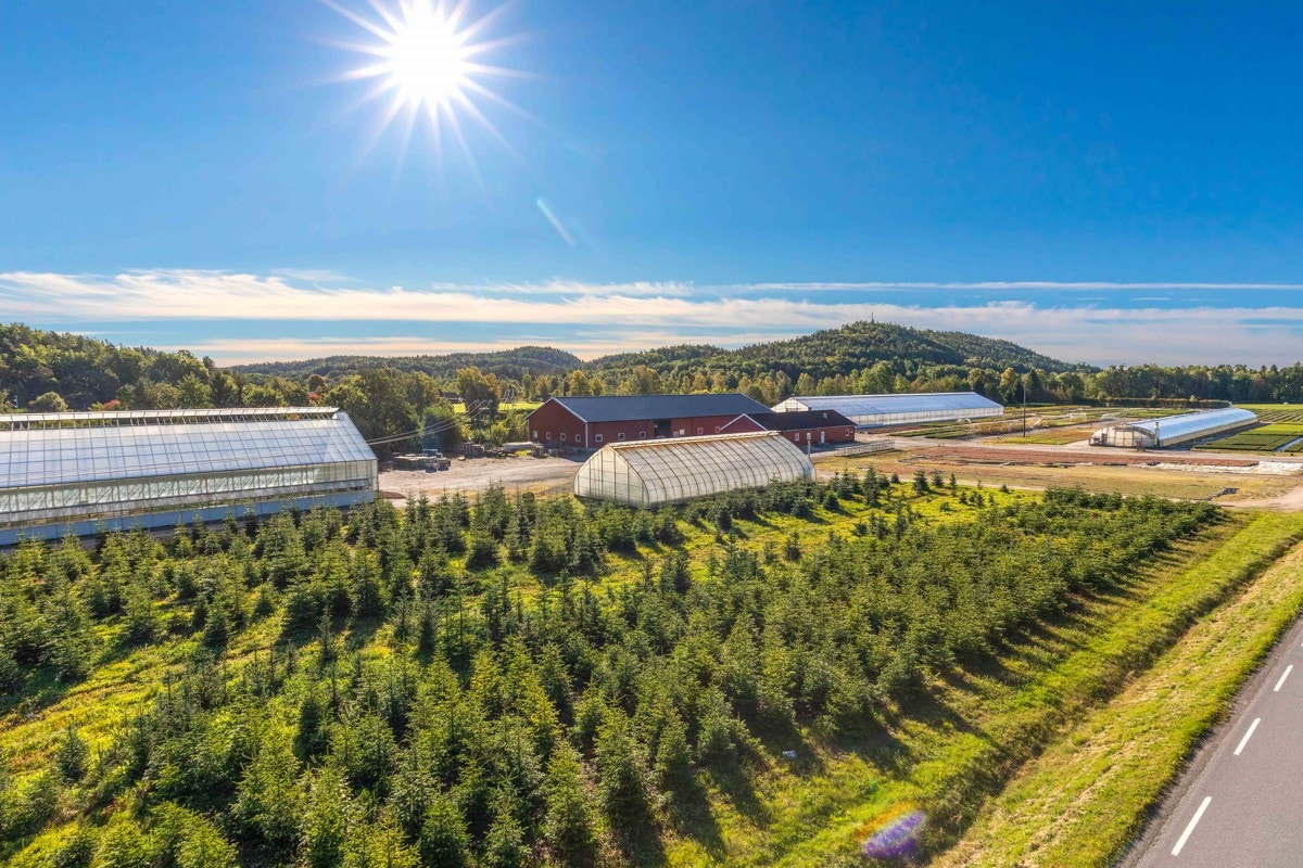 Uteområde Galleribilde