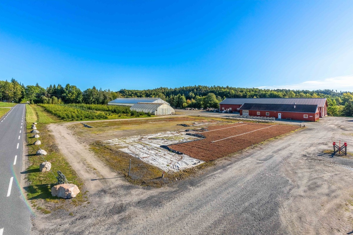 uteareal Galleribilde