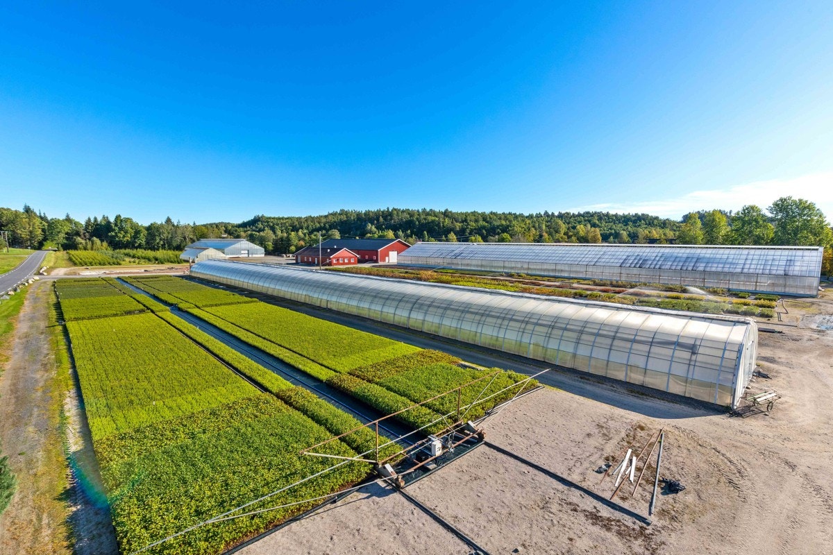 Produksjonsareale Galleribilde