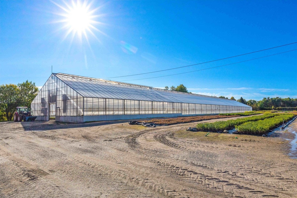 Drivhus Galleribilde