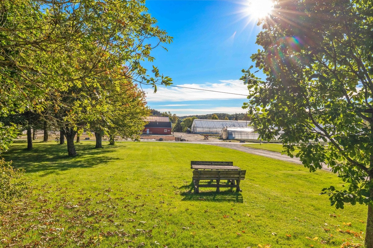 Uteareal Galleribilde