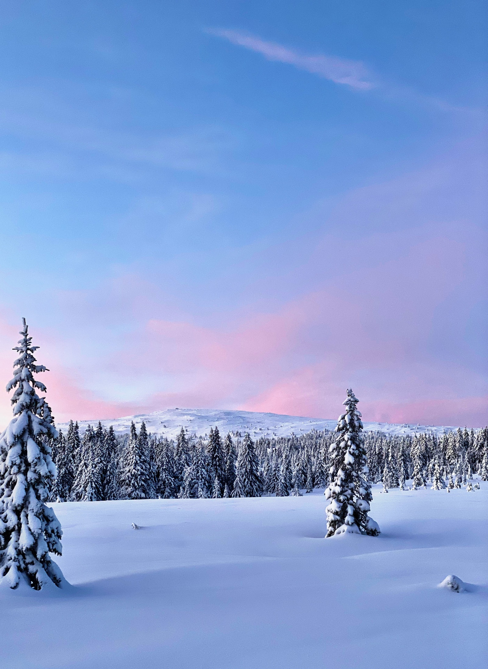Bilde på vei mot Nevelfjell julen 2019. Galleribilde