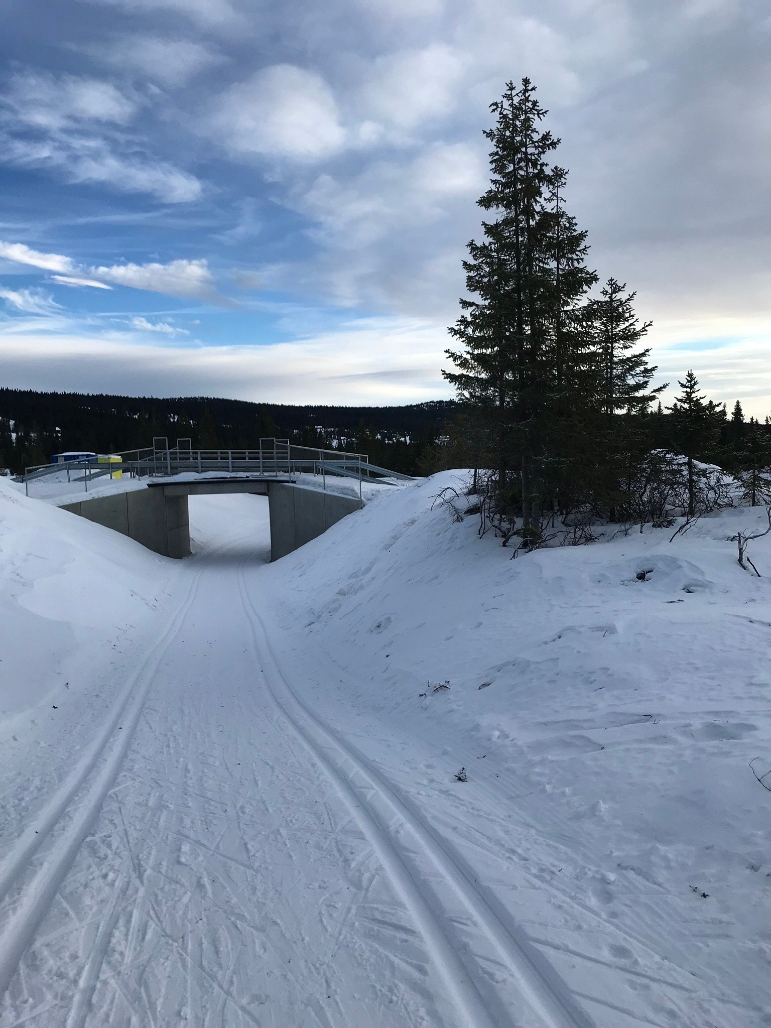 Skiløypene starter like ved hytteveggen. Galleribilde