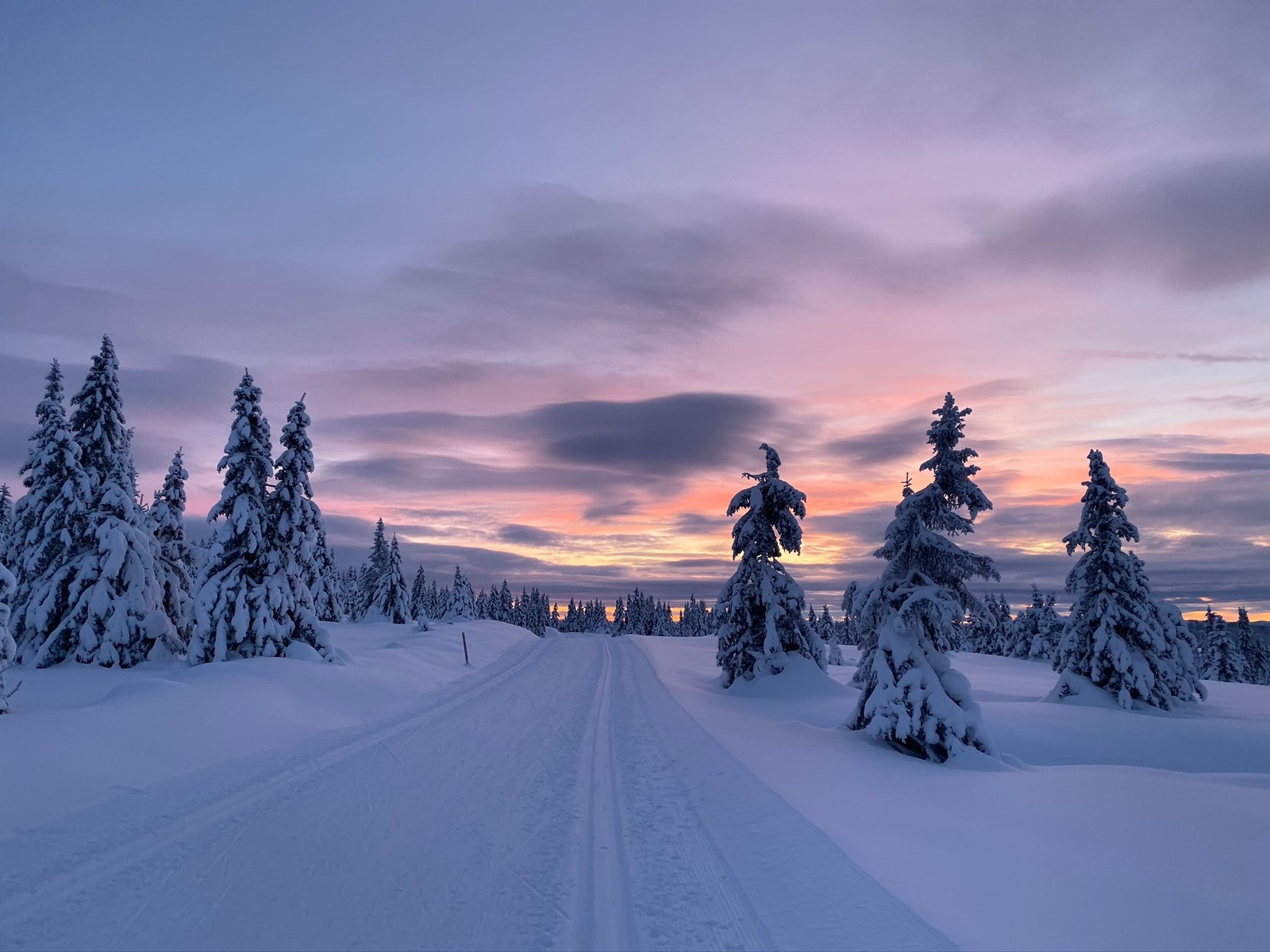 Bilde tatt på vei mot Nevelfjell julen 2019. Galleribilde