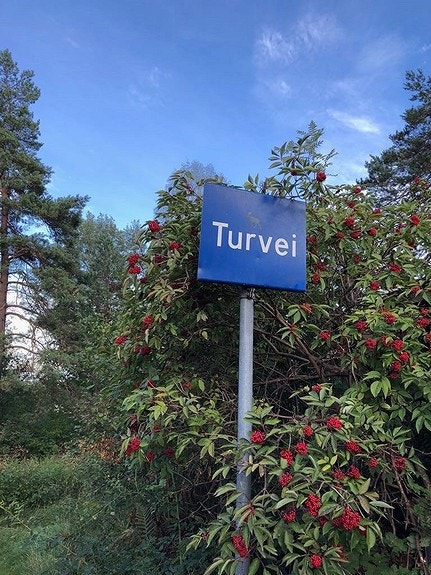 30 meter til turvei med oppkjørte skiløyper om vinteren Galleribilde