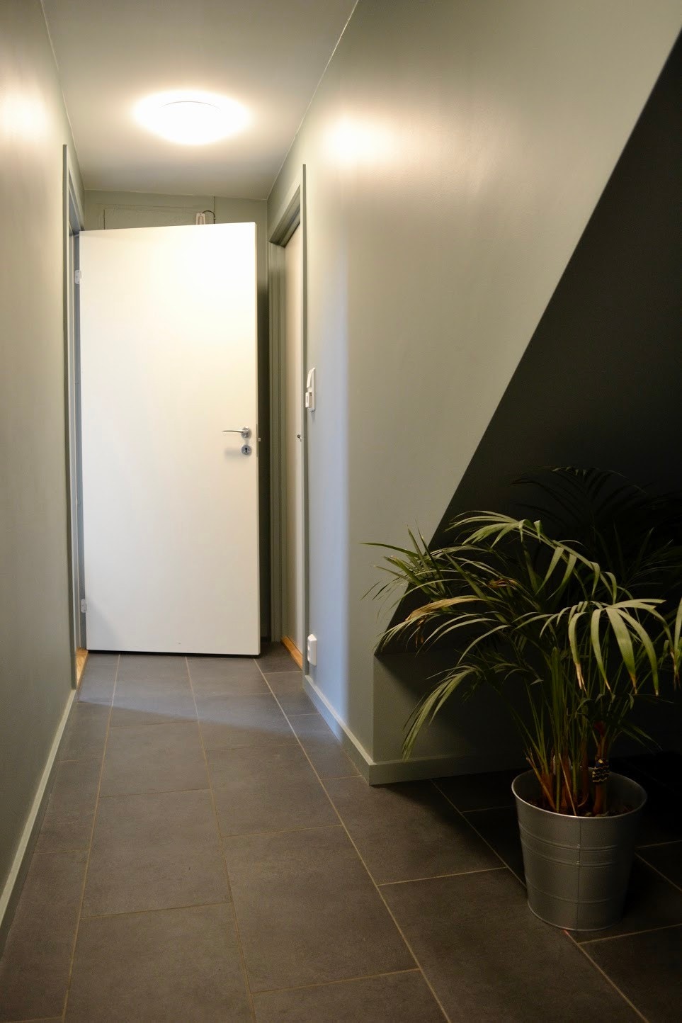 Gang Galleribilde
