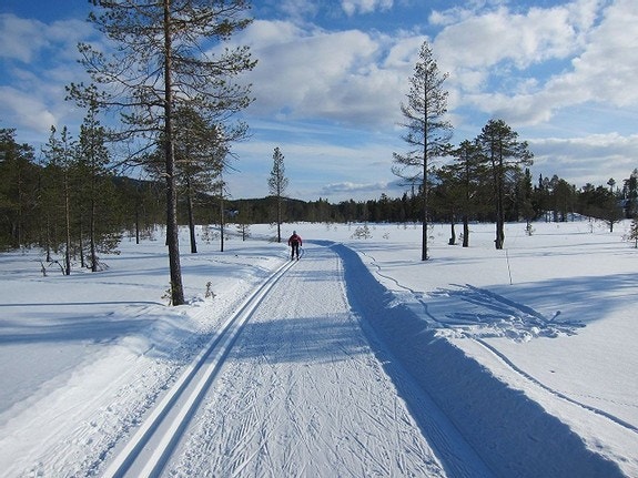 30 meter til skiløypenettet i Nordmarka med lysløype Galleribilde