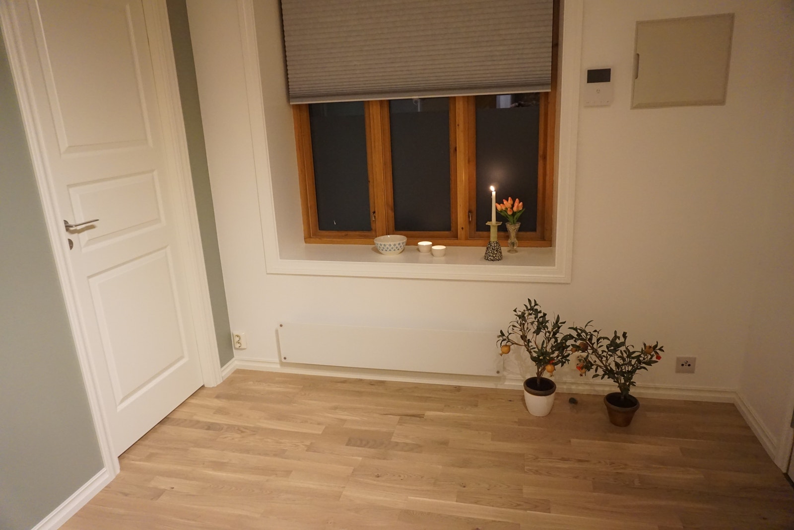 Del av lekker stue. Nyere panelovn med glass. Galleribilde