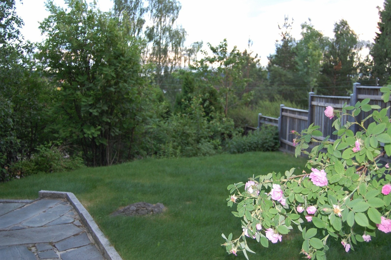 Uteplass i vest med utsikt Galleribilde