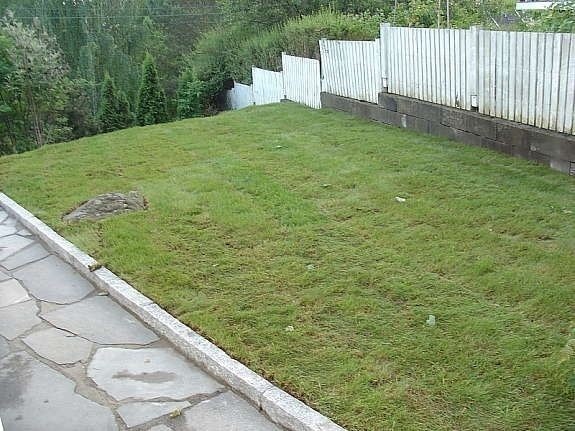 Uteplass med plen i vest Galleribilde