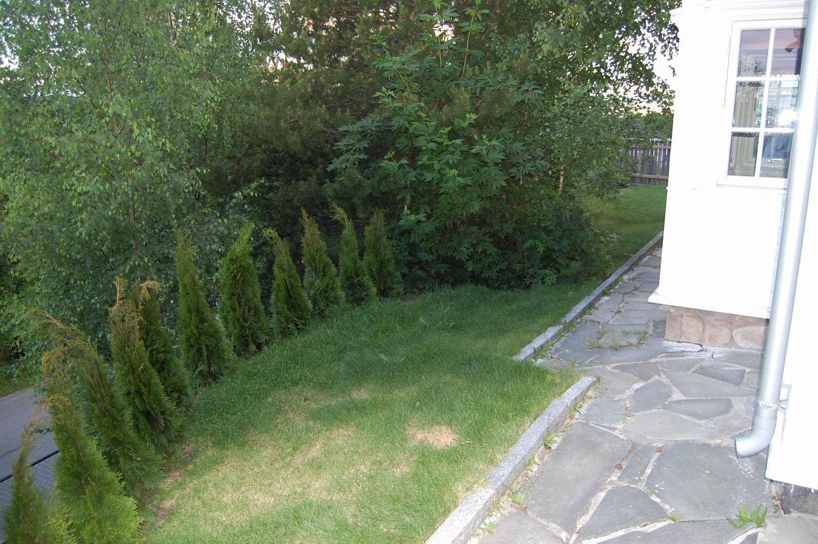 Uteplass mot syd Galleribilde