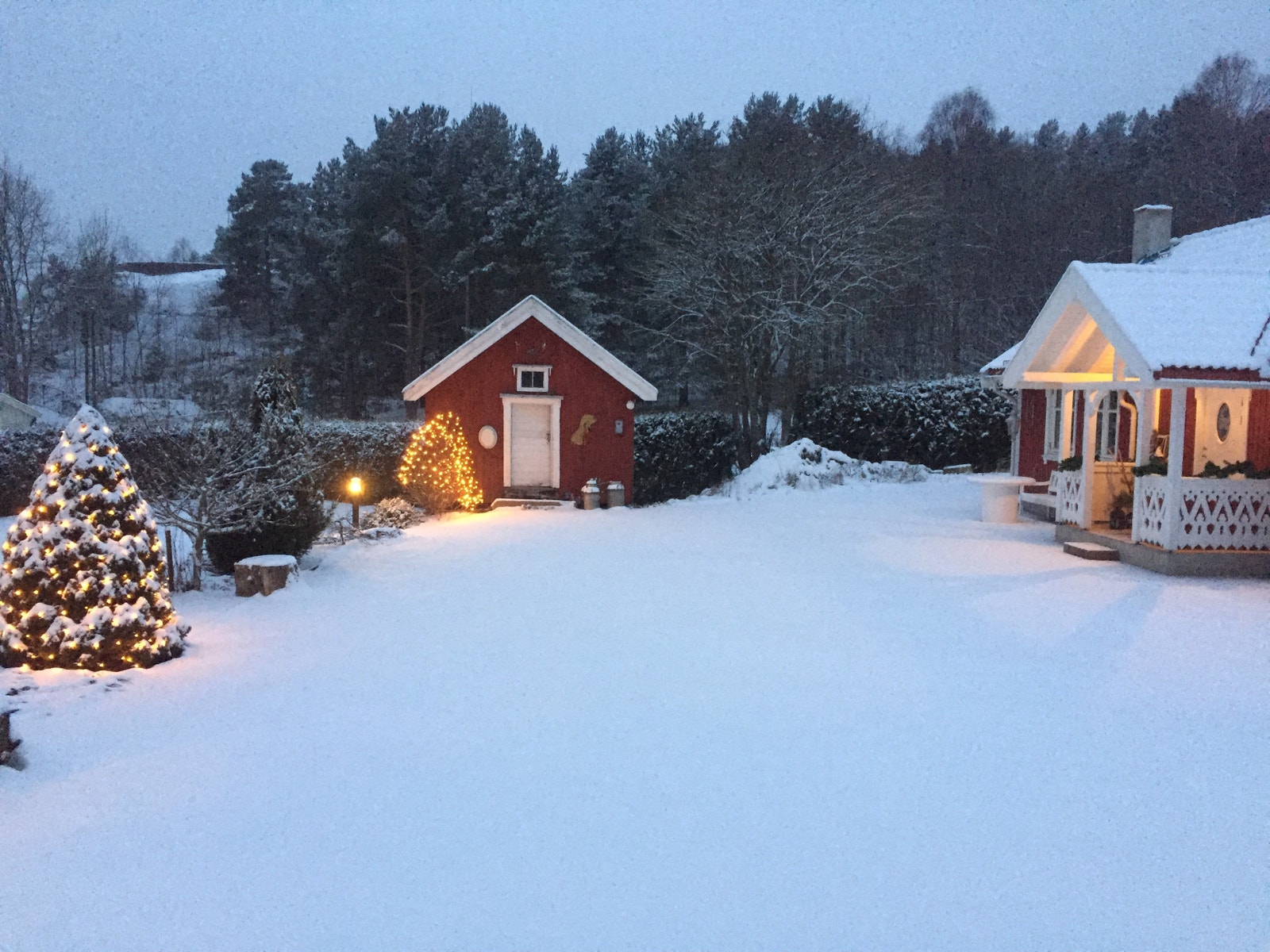 Vinterstemning - roen ved fjorden Galleribilde