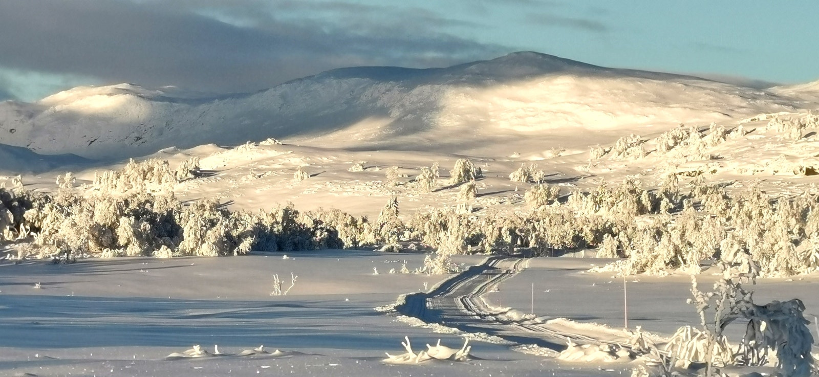 Reineskarvet z frå Leveldåsen Galleribilde
