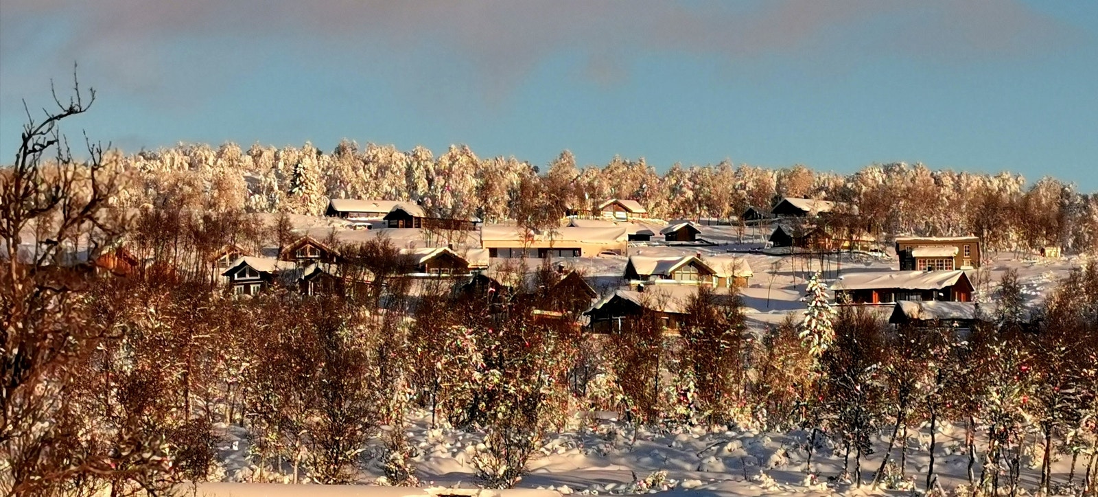 16.12.2020 Galleribilde