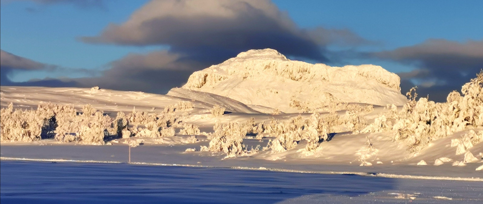 2020, Lauvdalsbrea z frå Leveldåsen Galleribilde