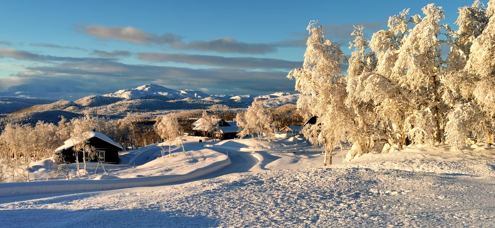 Leveldåsen Galleribilde
