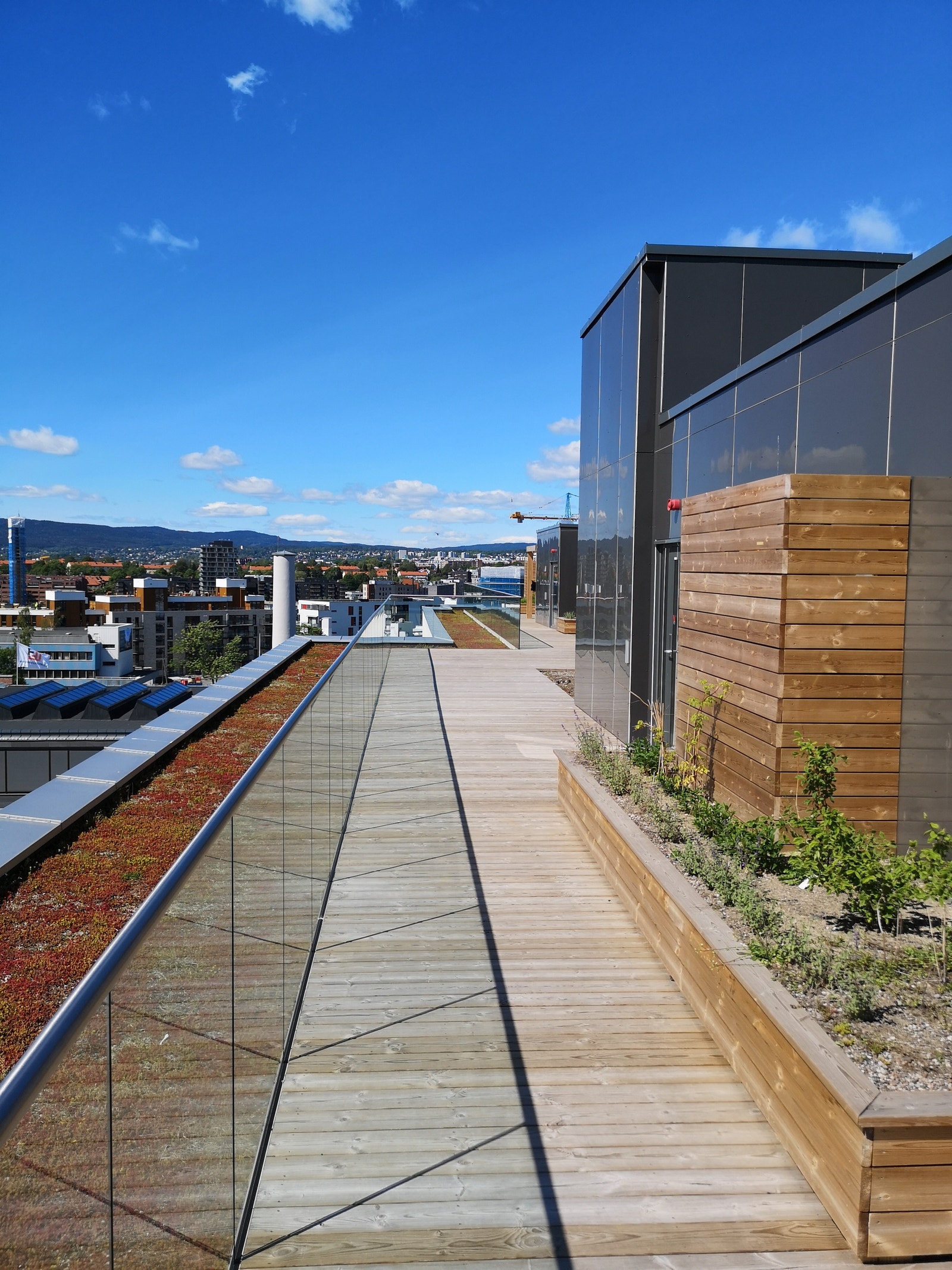 Felles takterrasse Galleribilde