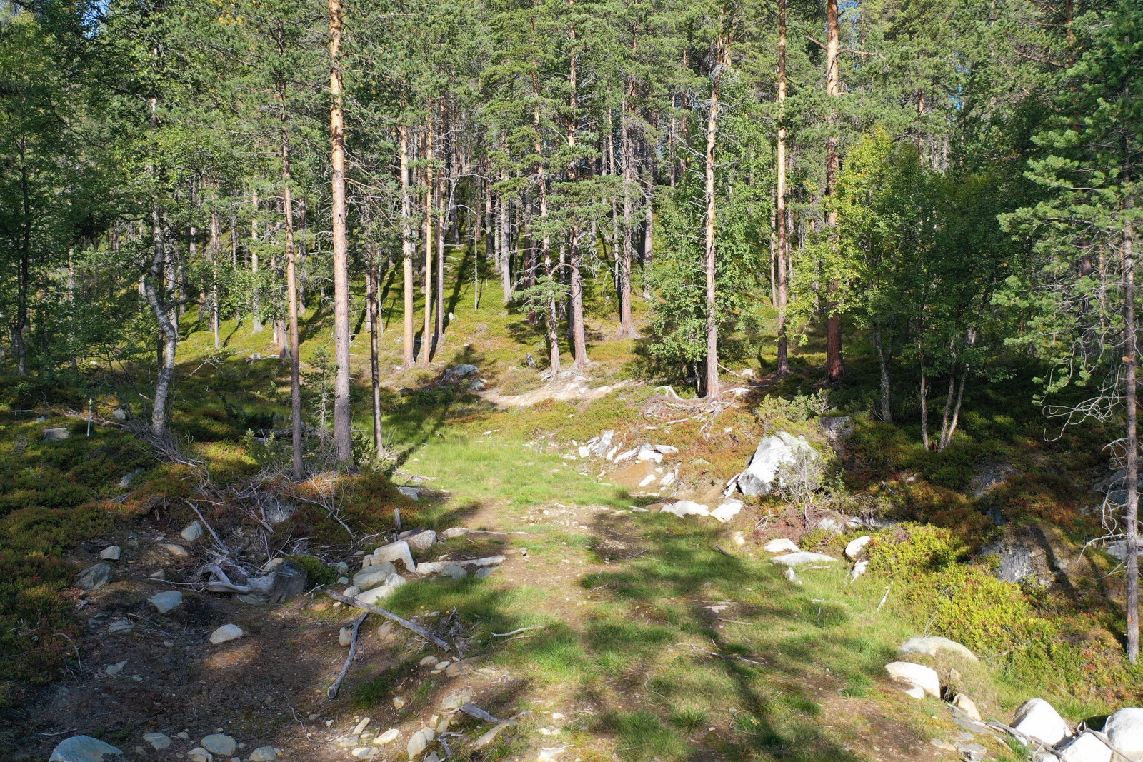 Veien opp til tomtene Galleribilde