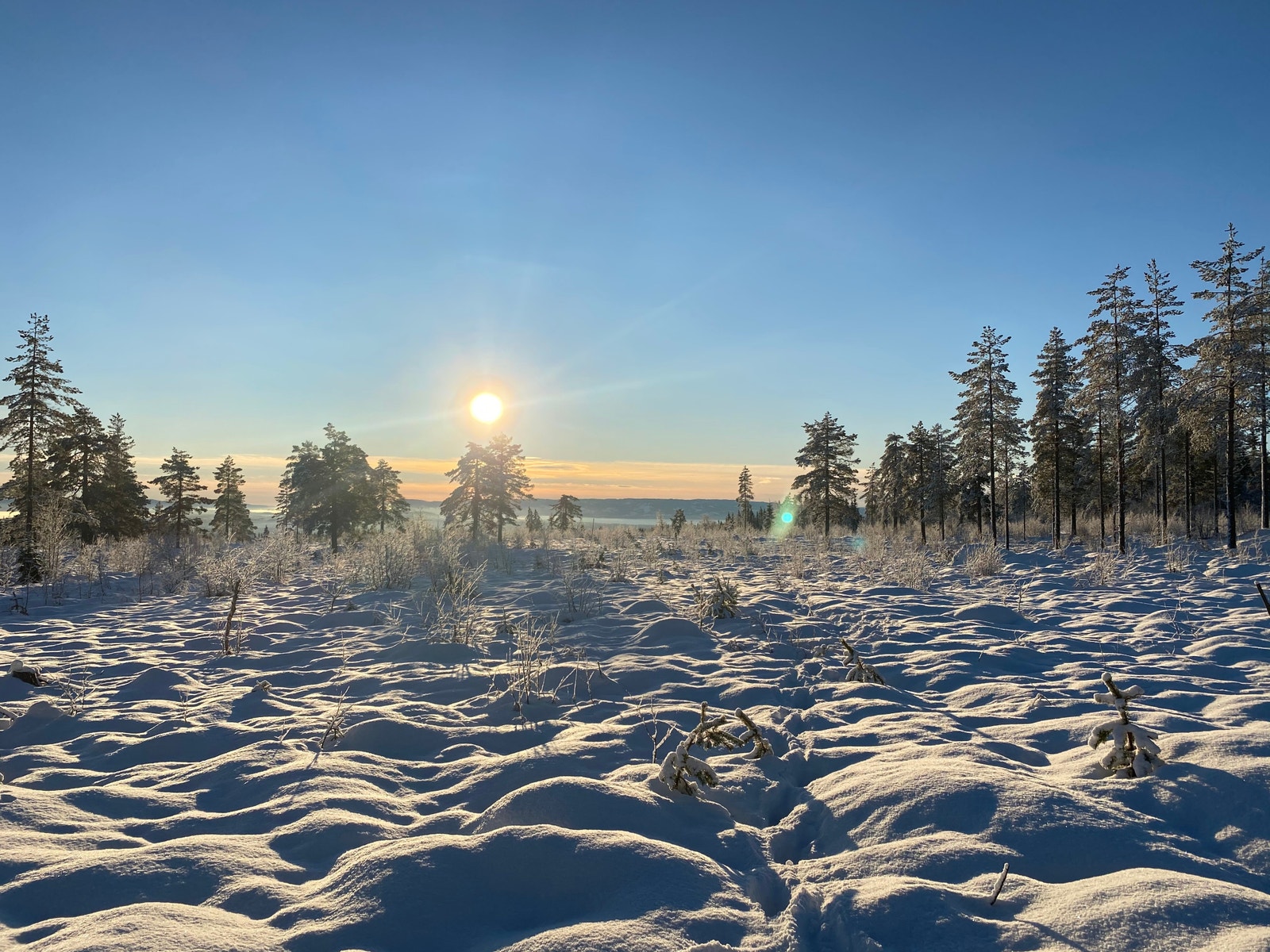 Nydelig utsikt fra hytta. Mjøsa kan skimtes i det fjerne. Galleribilde