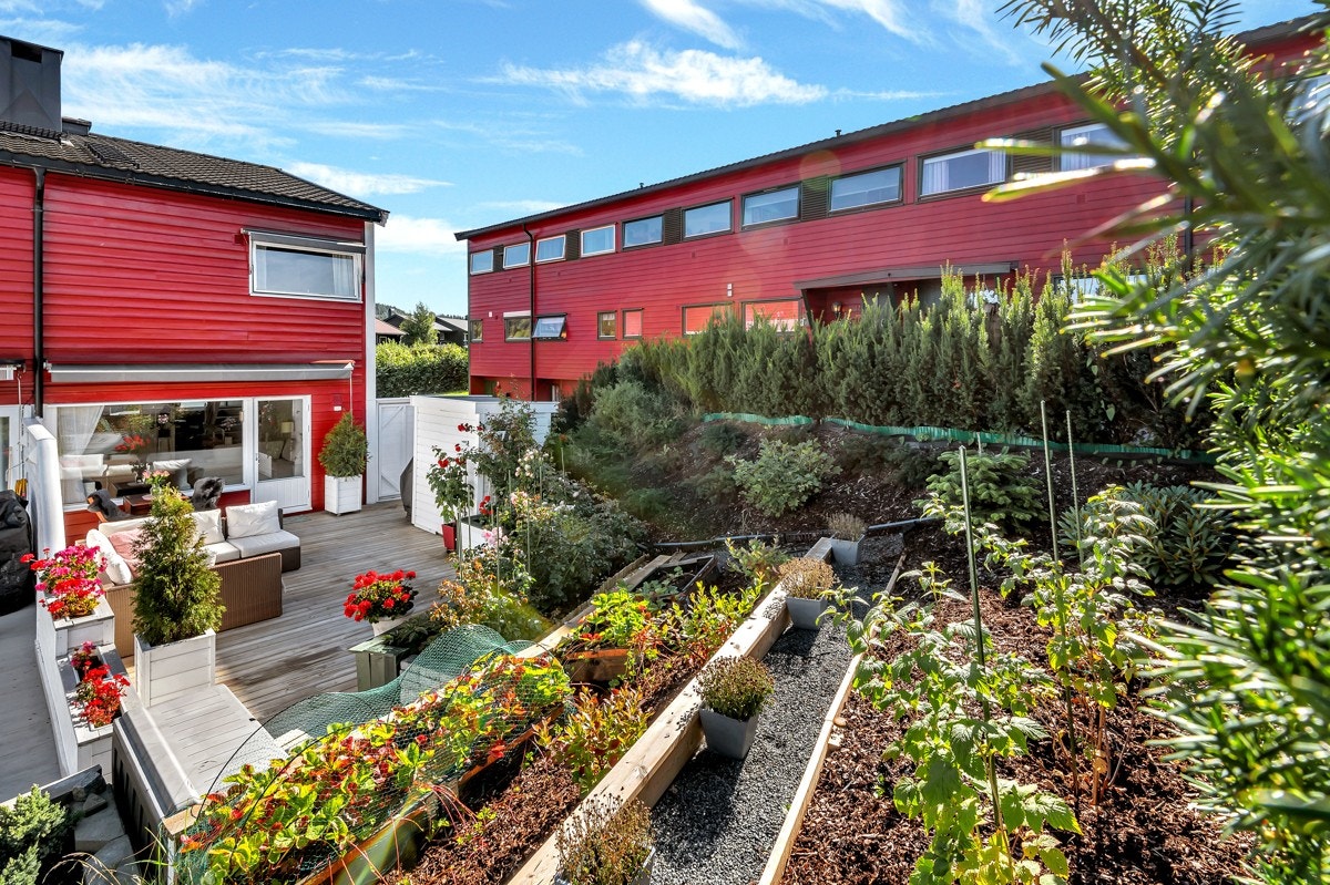 Fra stuen er det utgang til en herlig og solrik terrasse. Galleribilde