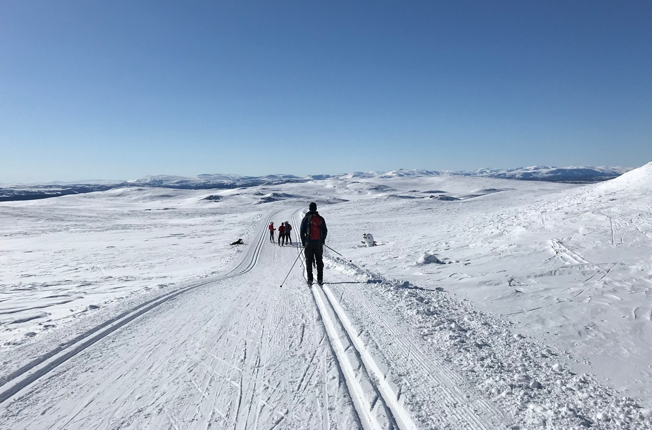 Langrennsløypene er tilknyttet Gubrandsdalens lengste oppkjørte løypenett. Galleribilde