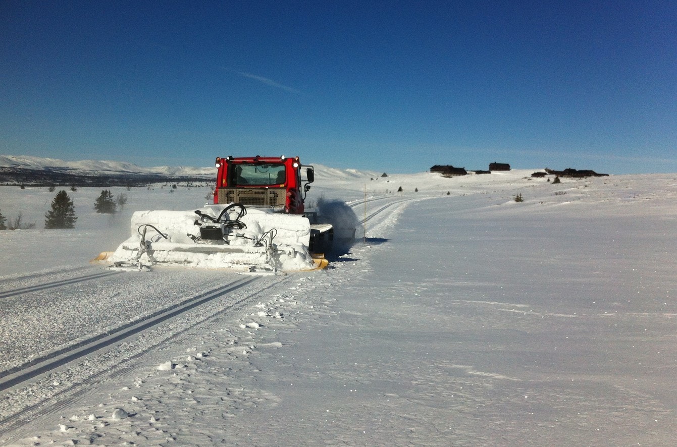 Velpreparerte skiløyper går igjennom feltet. Galleribilde