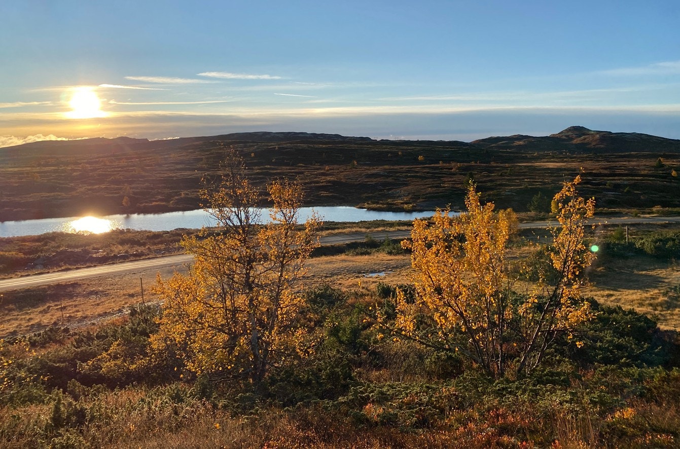Realiser hyttedrømmen på Fagerhøi, med en flott hytte fra Blåne! Fantastisk turområde for familier og andre eventyrlystne mennesker. Galleribilde