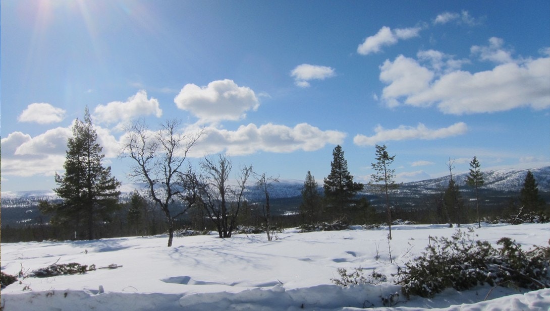 Mot vest og Renåfjellet Galleribilde