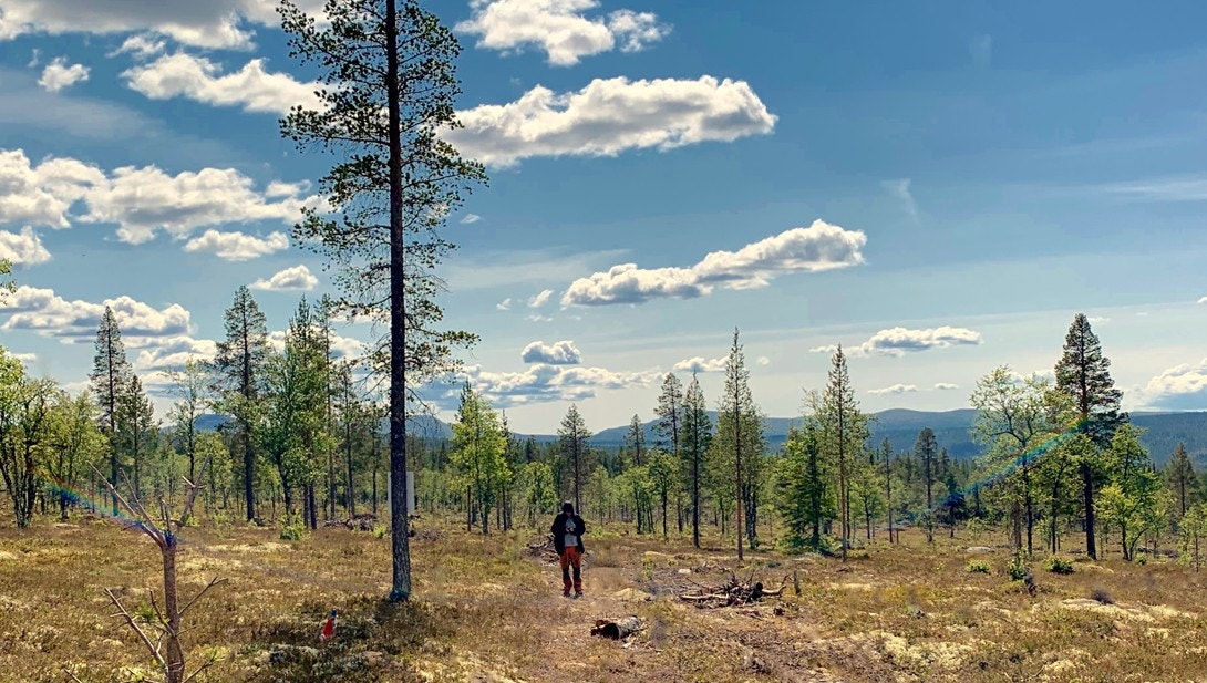 Dette er hva vi mener med høy himmel :-) Galleribilde