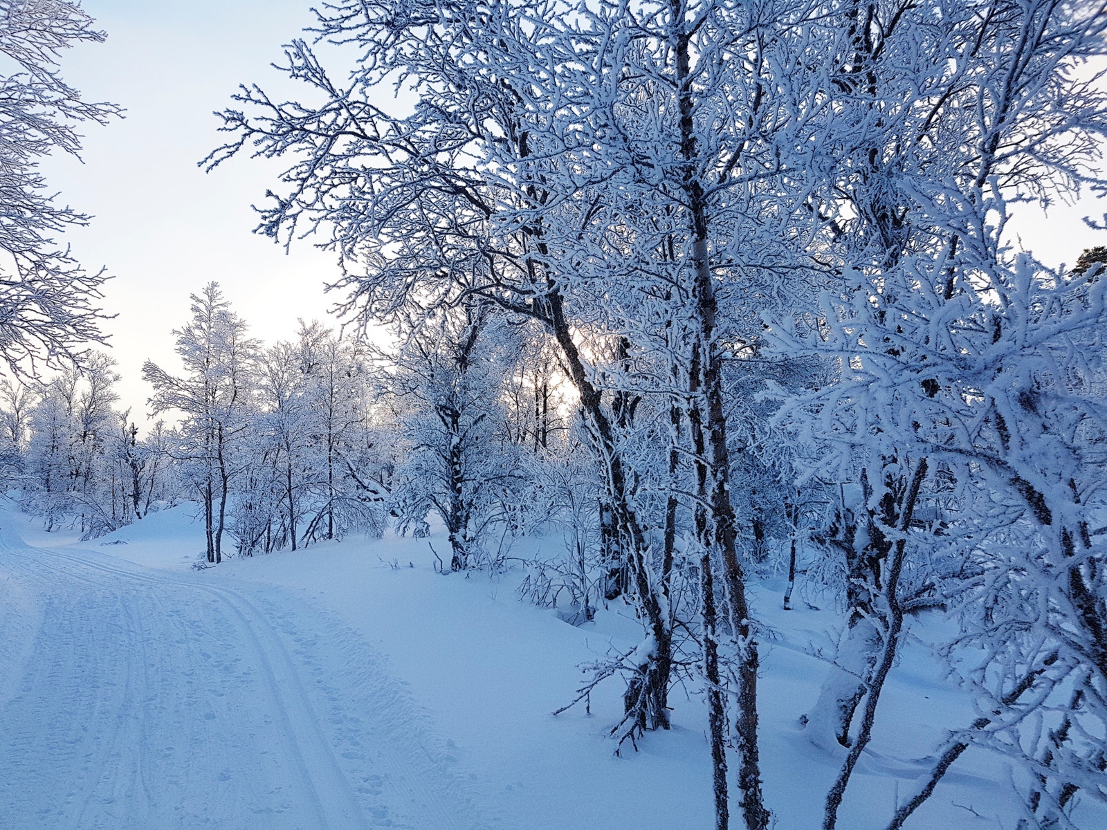 Snøgaranti! -Og oppkjørte løyper gjennom hele vinteren. Rett i nærheten. Galleribilde