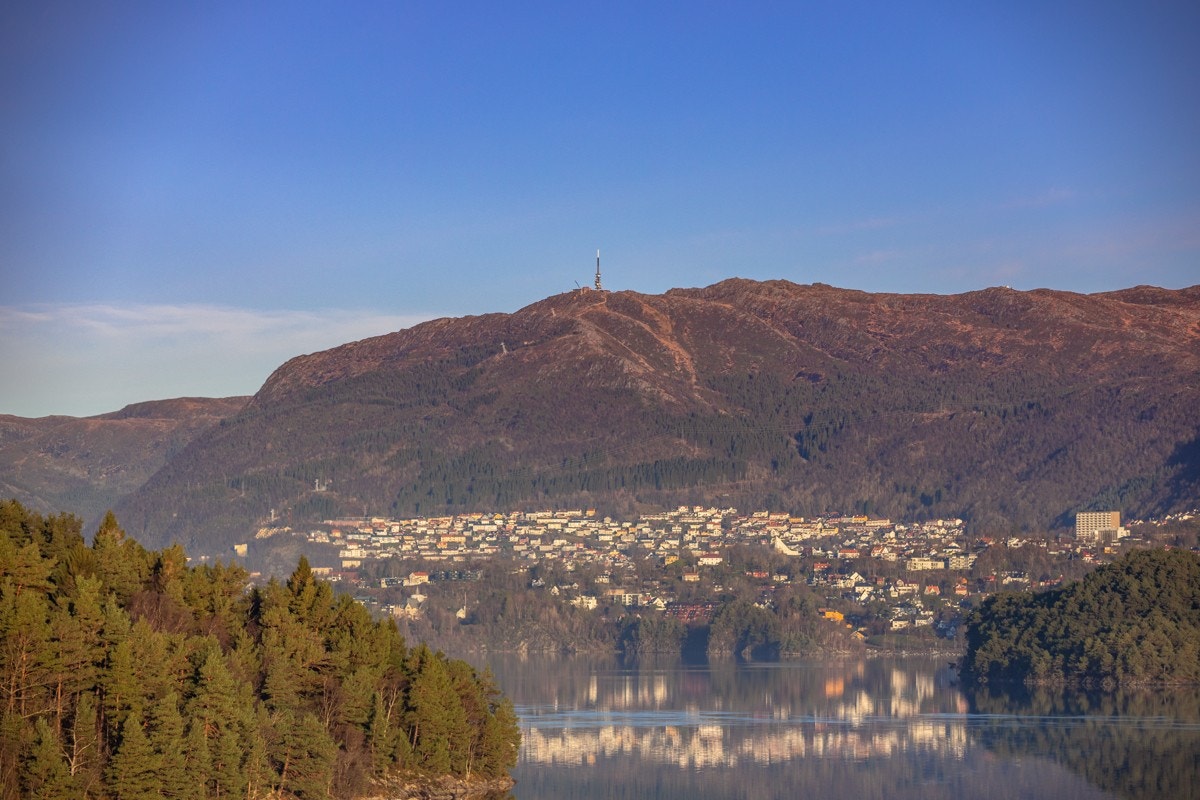 - Velkommen til en hyggelig visning - Galleribilde